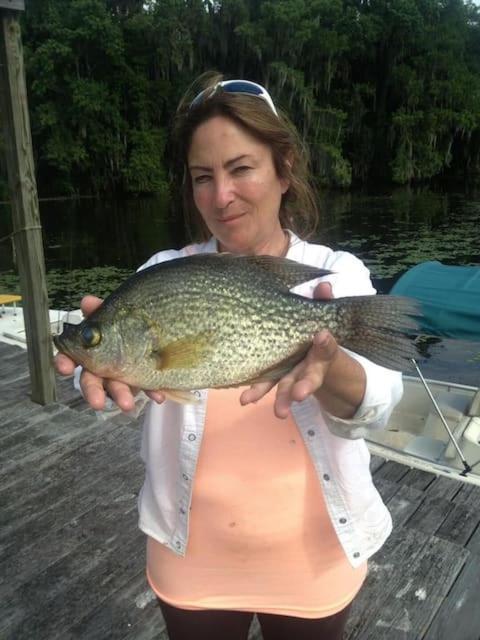 St Johns River Retreat Unit 1 Crescent City Zewnętrze zdjęcie